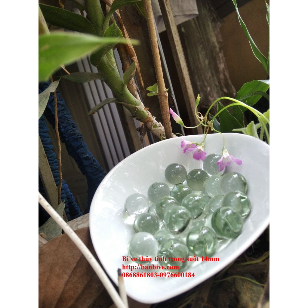 Bi ve - bộ viên bi thủy tinh trong suốt đường kính 14mm hoặc 16mm bộ 20 viên