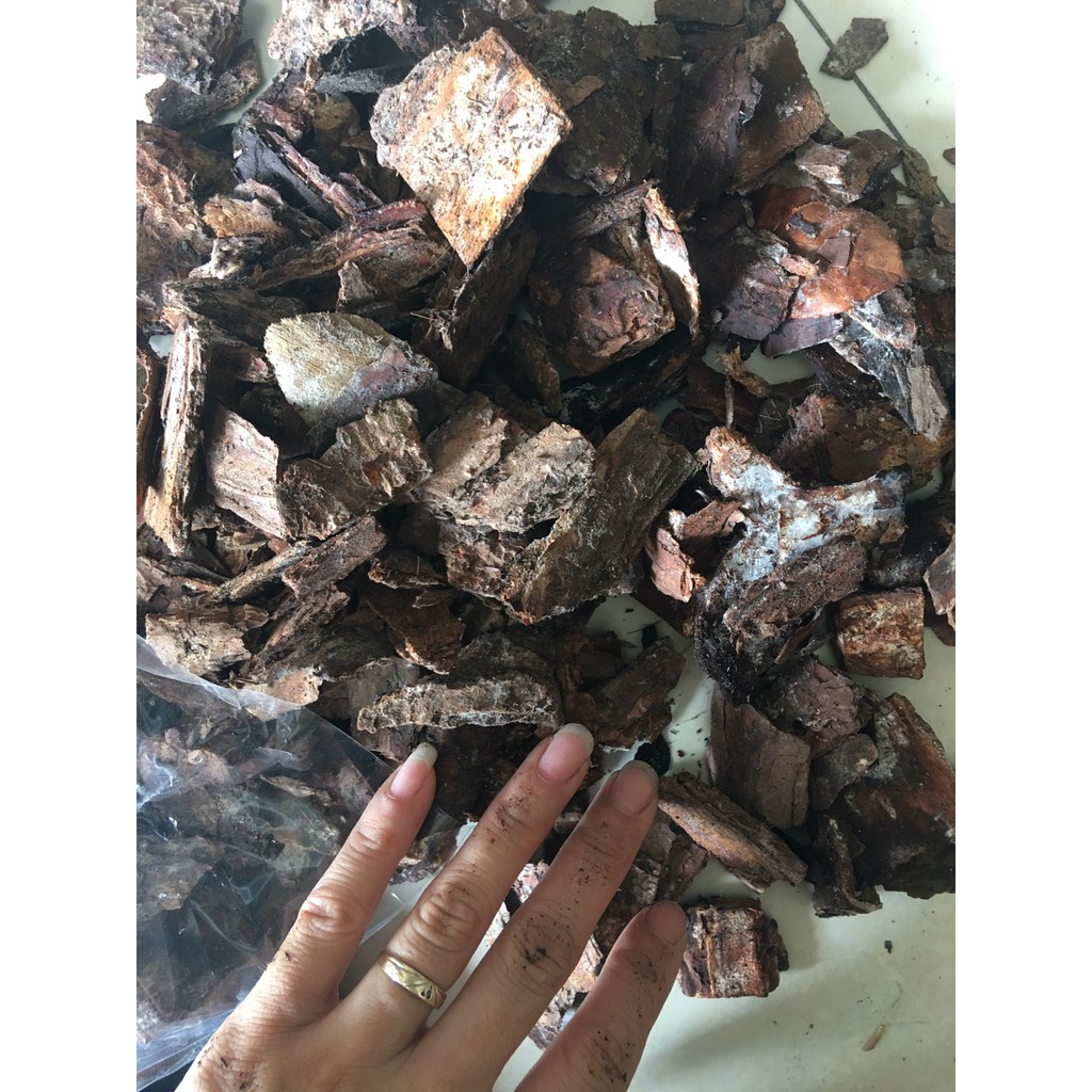 ( HOT HOT ) Vỏ thông trồng lan đã xử lý, ủ trichoderma túi 1kg