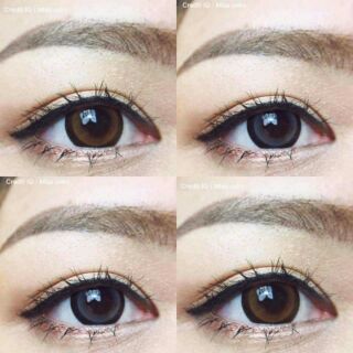 Lens mắt mèo SAKURA nâu/xám
