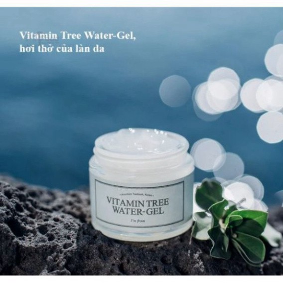 Gel Dưỡng Ẩm, Dưỡng Trắng Da Chiết Xuất Cây Hắc Mai Biển I'm From Vitamin Tree Z13