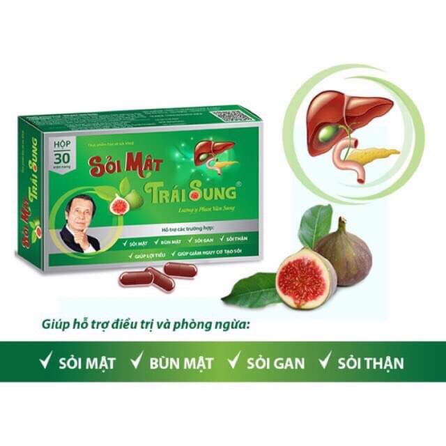 SỎI MẬT TRÁI SUNG – HỖ TRỢ LỢI TIỂU – TĂNG BÀI TIẾT LẮNG CẶN SỎI ....