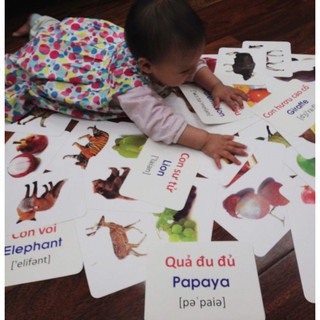 Thẻ Học Flashcards Thông Minh Song Ngữ Chủ Đề Động Vật Nuôi Cho Bé