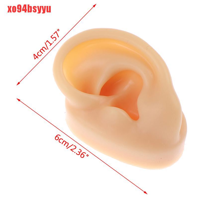 Mô Hình Trưng Bày Khuyên Tai Bằng Silicone Xo94Bsyu 1X