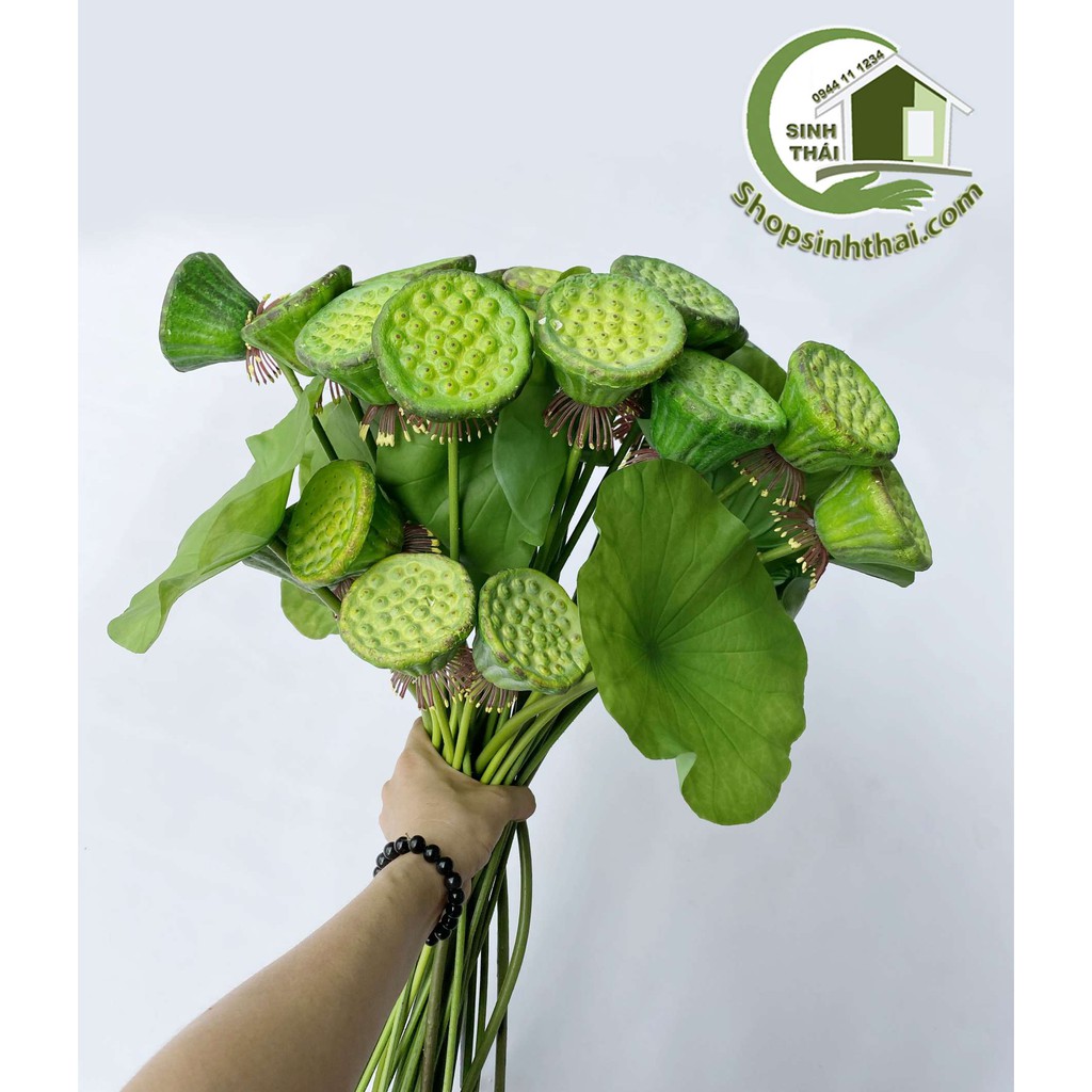 Lá sen, gương sen giả - cành gương lá sen giả cao cấp Thái Lan - chọn cành