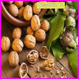 2kg hạt óc chó tặng kìm kẹp ❤siêu rẻ❤ quả óc chó nếp sấy khô