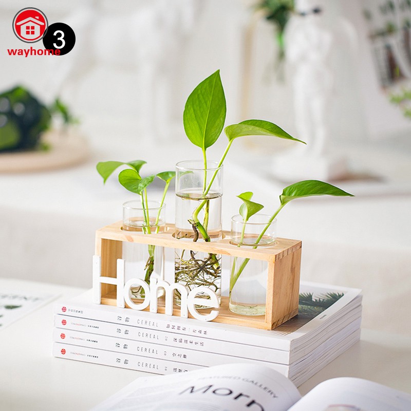 Đế Gỗ/Lọ Thuỷ Tinh Trồng Cây Trang Trí Nhà Cửa Độc Đáo