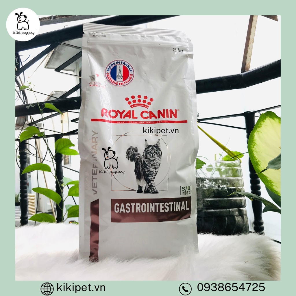 Hạt Canin cho mèo tiêu chảy, Thức ăn cho mèo gặp vấn đề về tiêu hóa ROYAL CANIN GASTROINTESTINAL 2Kg