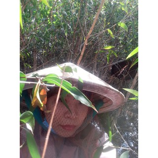 Mật ong rừng U Minh Hạ
