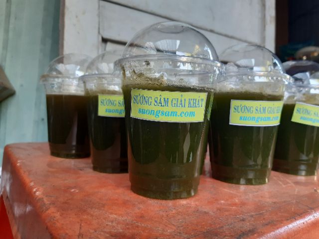 GÓI 50 HẠT GIỐNG SƯƠNG SÂM LÔNG