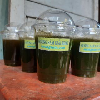 [Mua 2 tặng 1] GÓI 50 HẠT GIỐNG SƯƠNG SÂM LÔNG