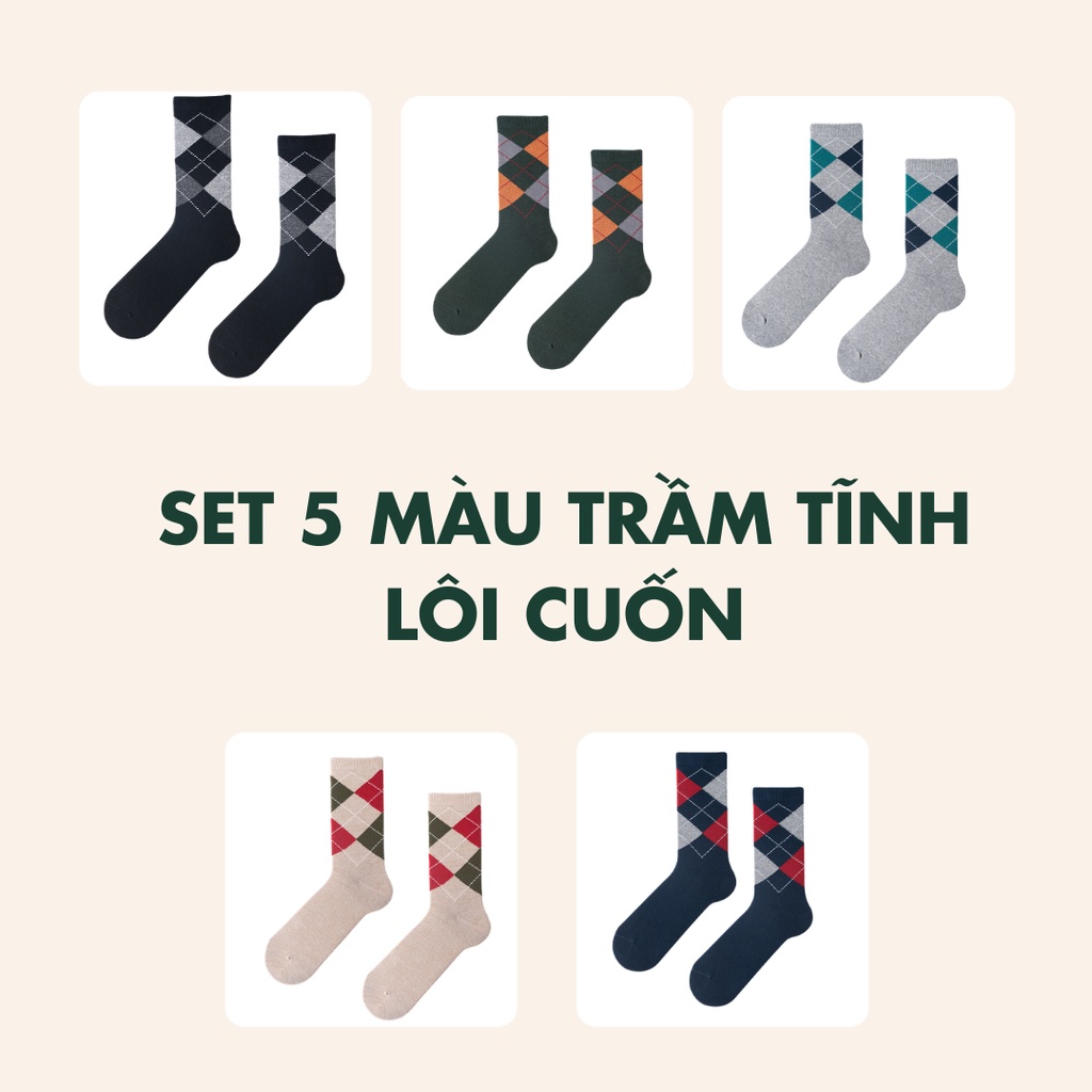 Tất Nam Công Sở Dòng Premium Có Tất Là Có Tất hoạ tiết quả trám thời thượng, thấm hút đỉnh, thoải mái cả ngày - QOLICLAM