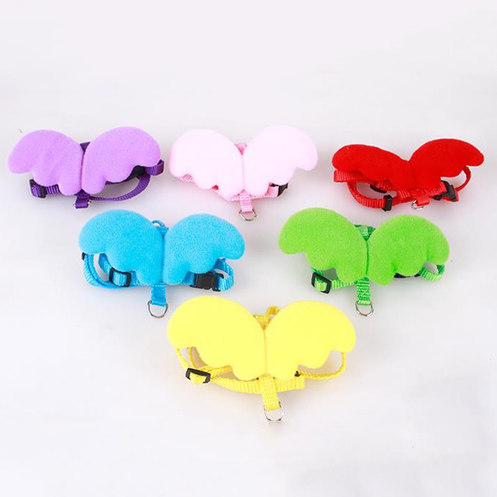 Dây dắt thú cưng đi dạo kiểu đôi cánh dễ thương