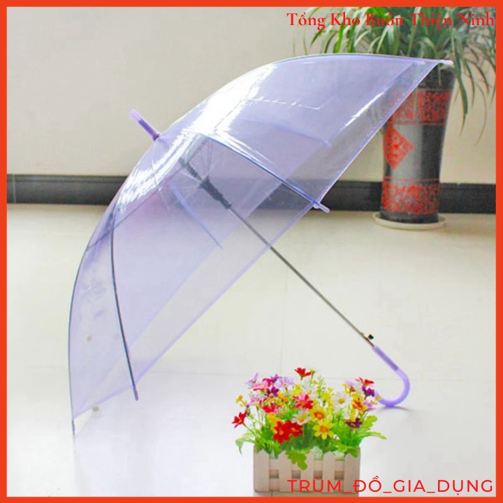 Ô Trong Suốt Màu Trắng