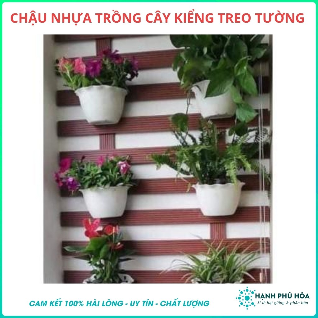 Bộ 3 Chậu Nhựa Ốp Treo Tường Trồng Hoa Lan, Cây Hoa Kiểng - Chậu Nhựa, Đẹp, Nhẹ, Chắc Chắn, Có Lỗ Thoát Nước