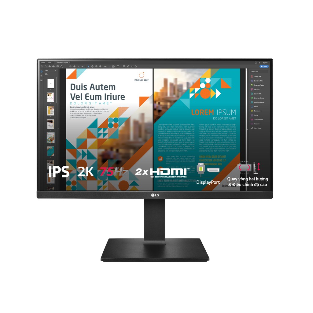 Màn hình LG 24QP550-B 23.8” QHD IPS 75Hz AMD FreeSync™ HDR10 sRGB 99%  Hãng