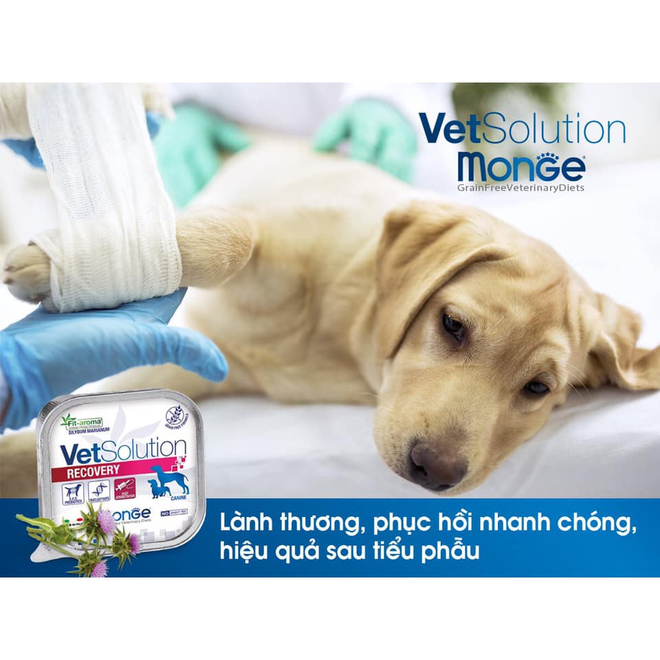 Pate cho chó Monge vet solution lon 100g, thức ăn cho cún cưng bệnh Con Mèo Xiêm