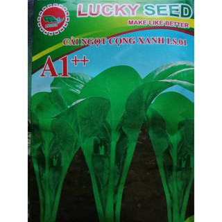 Bán Hạt giống cải ngọt cọng xanh LUCKY SEEDS hàng chuẩn