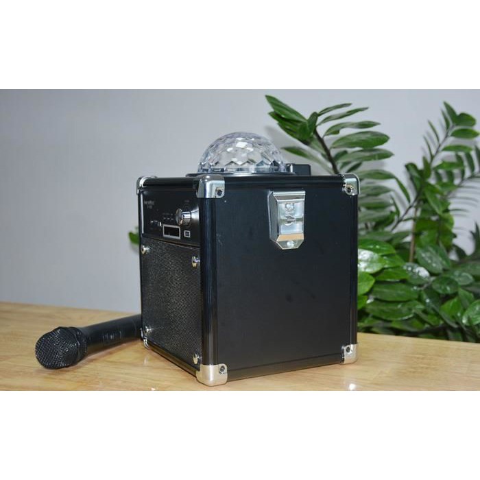 Loa Di Động SoundMax D1000