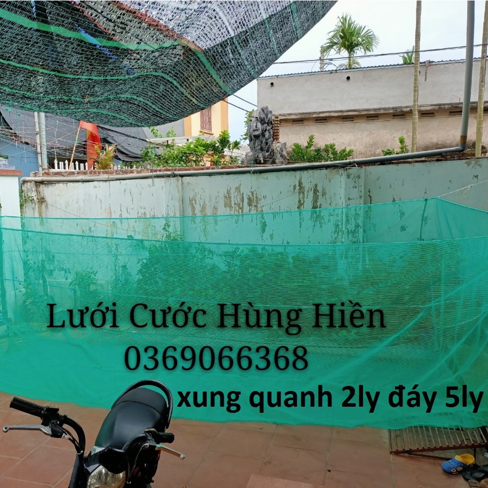 Tráng Nuôi Cá Hương cá tra,Dài 2,5 Rộng 2 Cao 1,5 Xung Quanh 2ly đáy 5ly Nuôi Cá Từ Nhỏ Tới To, Lưới Thái Lan