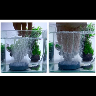 Sủi đĩa oxy siêu mịn 6cm 10cm