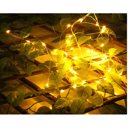 Đèn trang trí đom đóm 4m 40 bóng fairy light chạy pin giá rẻ | BigBuy360 - bigbuy360.vn