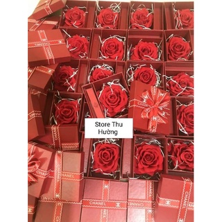 Hộp đựng son hoa sáp quà tặng sang trọng