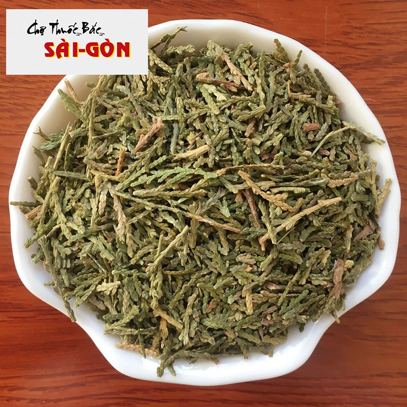 Trắc Bá Diệp 100g