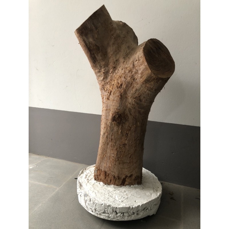 trụ gỗ nhãn ghép lan