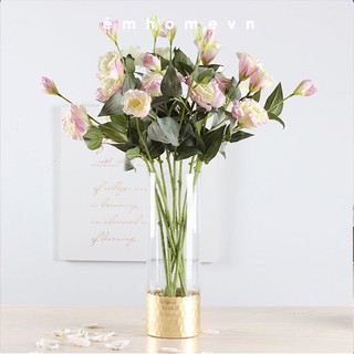 Bình mạ vàng chân size L