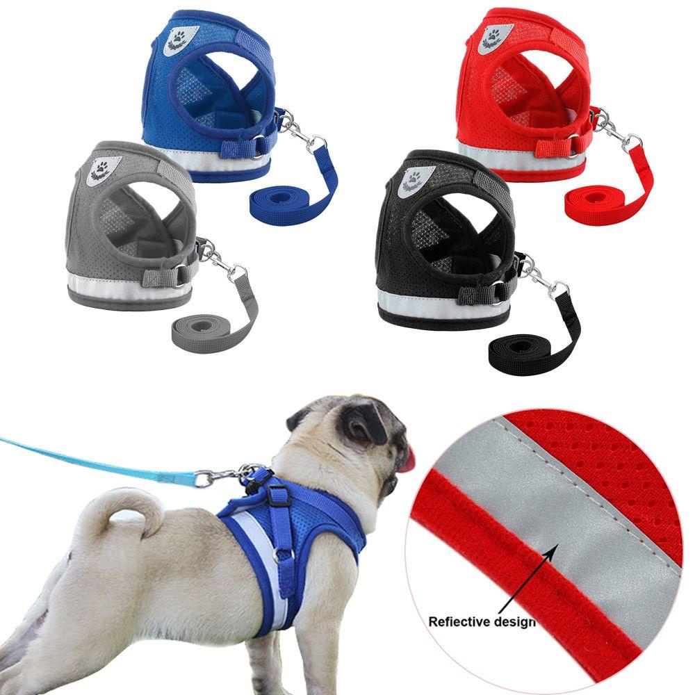 Dây Dắt Thú Cưng Đi Dạo Thiết Kế Phản Quang Thoáng Khí Tiện Dụng