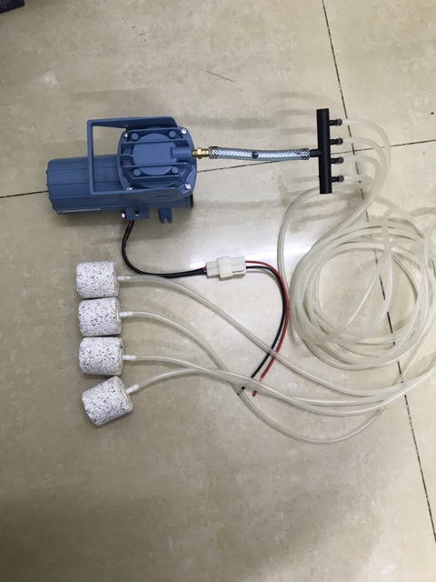 Máy sục oxy cho bể cá loại 12v 18w