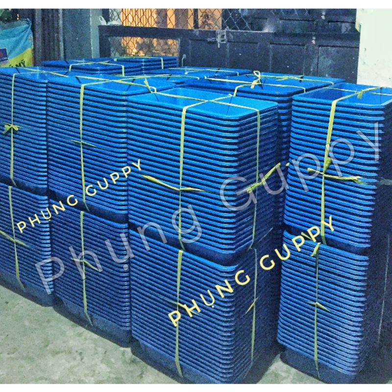 Khay Nhựa Xanh Nuôi Cá , Khay Ép Cá Kích Thước 50x35x13