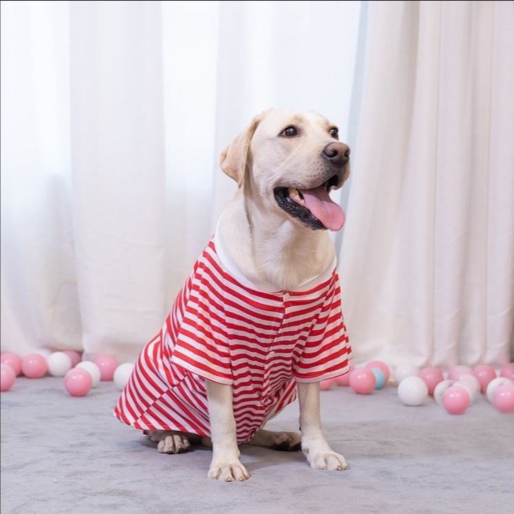 Quần áo cho chó lớn Golden Retriever Husky Labrador cỡ trung bình Samoyed Mùa hè và thu