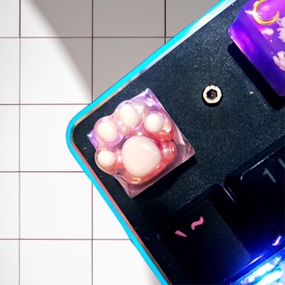 [ ORDER ] RESIN KEYCAP HÌNH CHÂN MÈO
