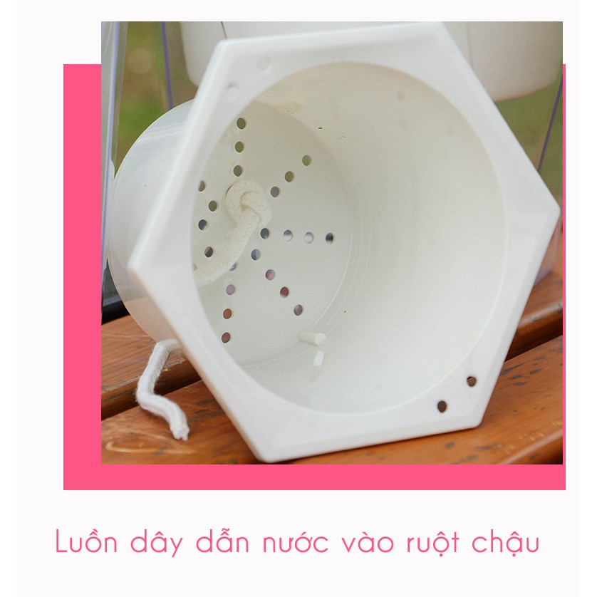 Chậu trồng cây thông minh tự tưới nước cho cây cảnh nội thất, cây hoa cảnh, cây văn phòng