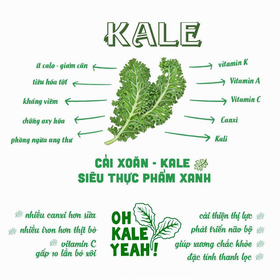 Bột cải xoăn Kale Behena - Bột ăn dặm giúp phát triển trí não bé yêu 50gr