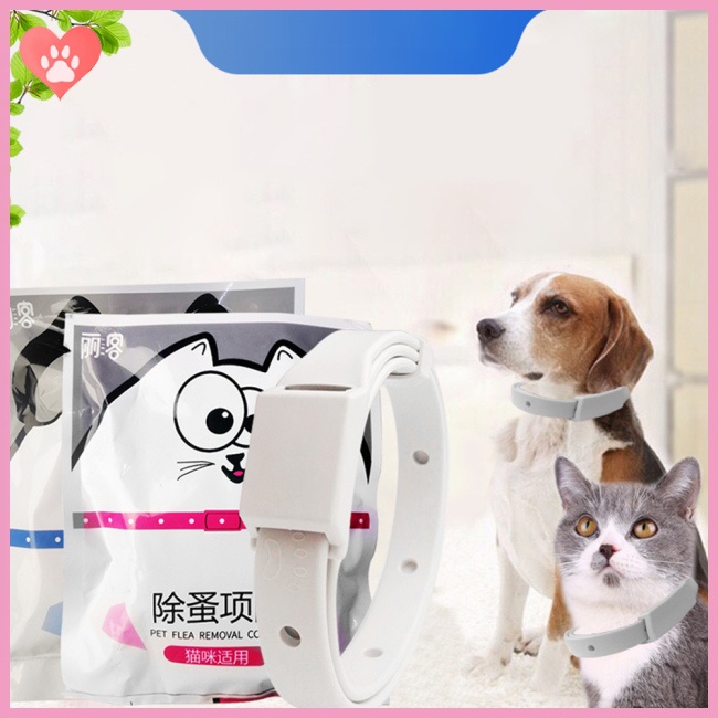 COD Pet  Anti  Flea  Prevention  Collar Soft Waterproof Insect Repellent Collars For Cat Dog