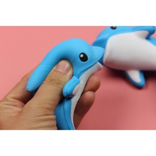 SquiShy cá heo