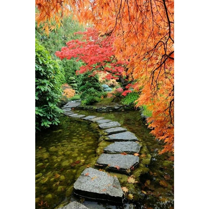 Bộ Tranh Sơn Dầu Trang Trí Tự Làm Hình Lâu Đài Và Hoa 40*50CM