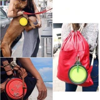 Bát du lịch cho chó mèo