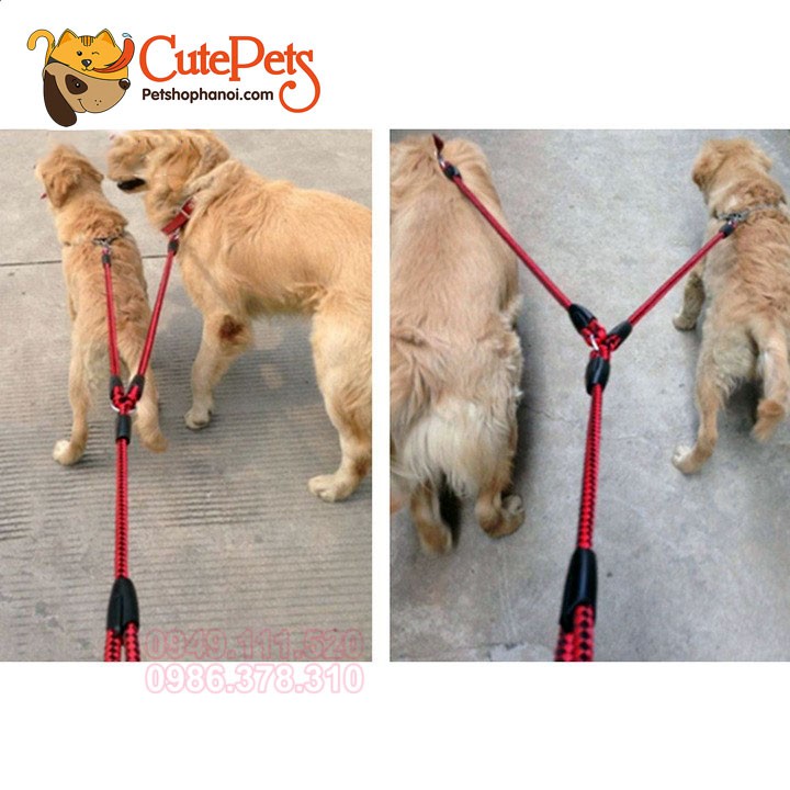 Dây dắt đôi 1cm 2 đầu dắt dành cho 2 cún - Cutepets