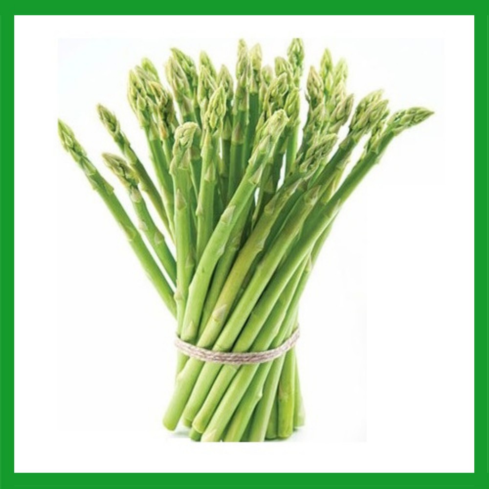 Hạt giống Măng Tây