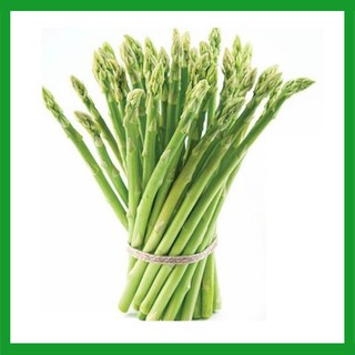Hạt giống Măng Tây