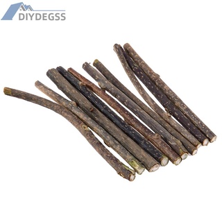 Set 10 cây bạc hà khô tự nhiên làm sạch răng cho mèo