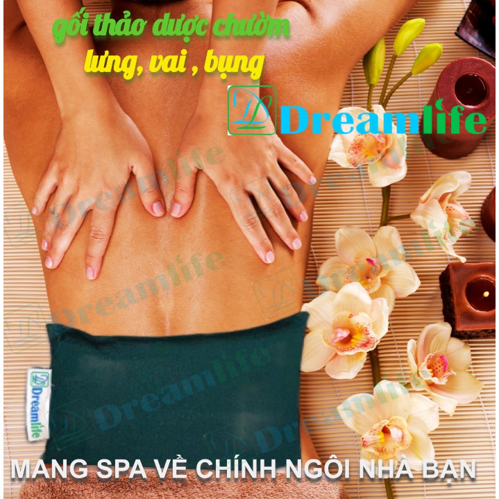 Gối chườm Thảo dược SPA Dreamlife