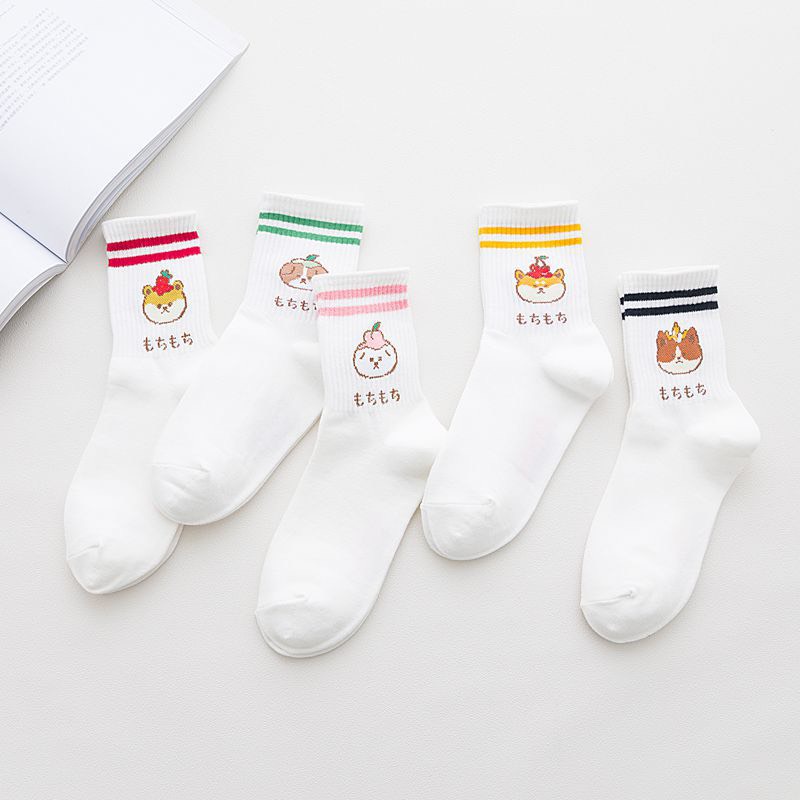 Set 5 đôi tất cổ cao Bivota vớ nữ trắng hàn quốc cún con đáng yêu T39