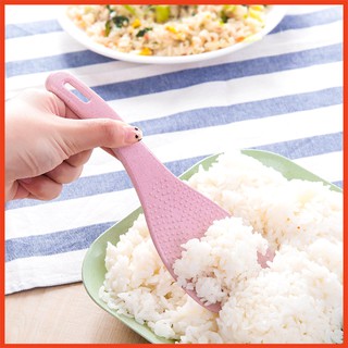 Thìa xới cơm lúa mạch - Muôi cơm lúa mạch