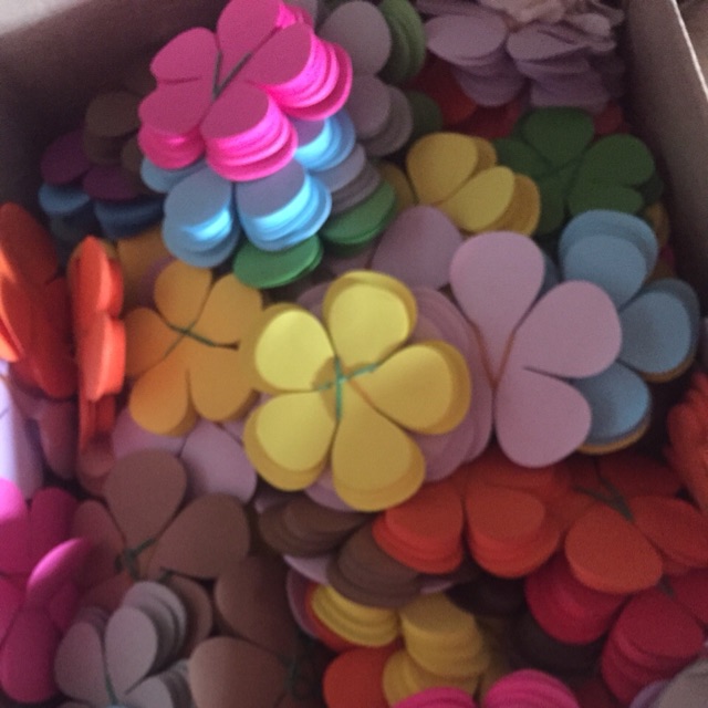 50 set cánh hoa hồng