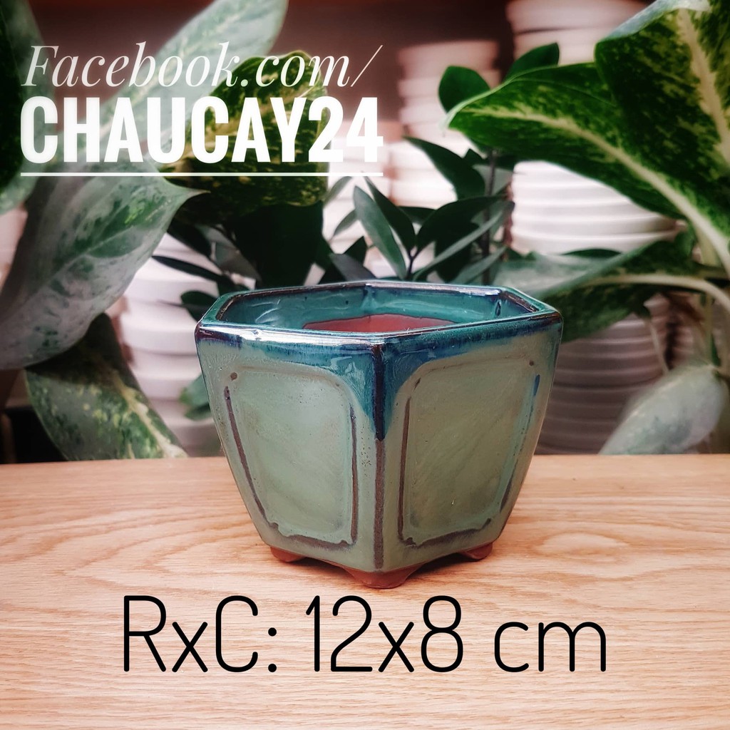 Chậu Sứ Trồng Cây Cảnh Để Bàn, Cây Nội Thất, Cây Bonsai, Cây hoa kiểng Hình Lục Giác