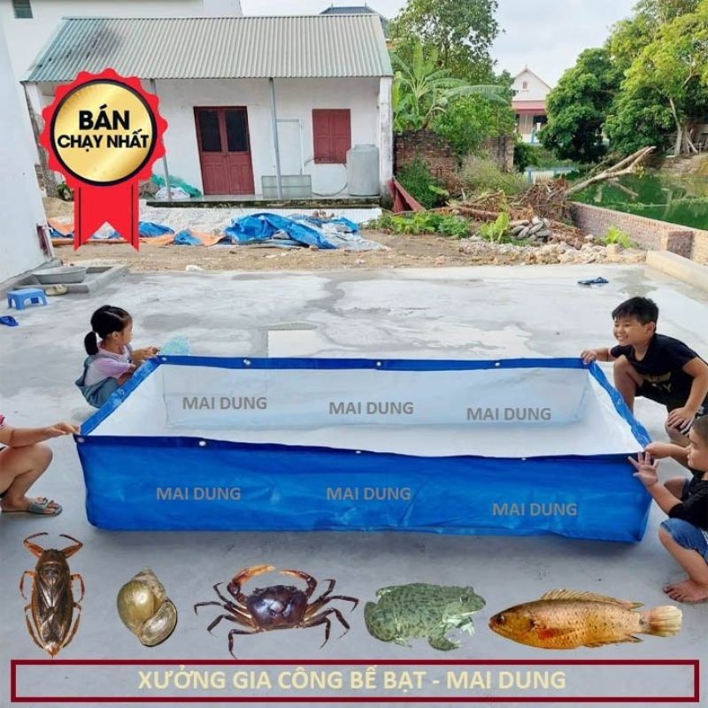 Bể bạt nuôi ốc ếch cá lươn - xanh dương korea